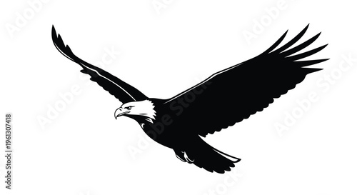 Black eagle flying, bald eagle silhouette, bird icon, wildlife symbol