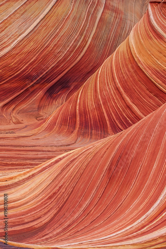 Close-up of the swirling sandstone patterns at The Wave. Beautiful natural orange and red lines created by erosion in the Arizona desert.