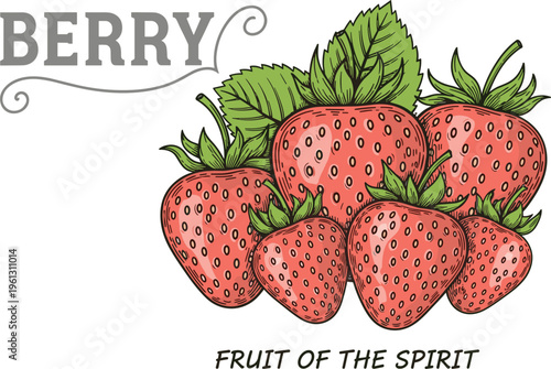 Vintage strawberry fruit vector composition. Hand drawn engraving style illustration of fresh berries with green leaves for organic jam and food branding.