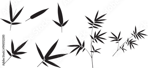 Black bamboo leaves and branches silhouette on white