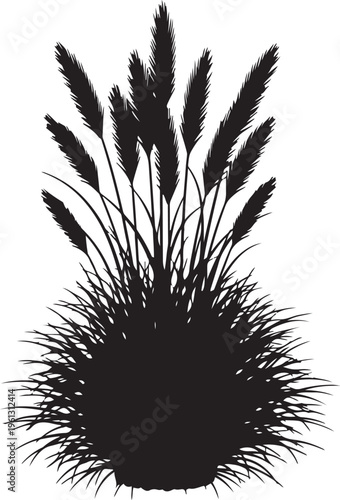 Black silhouette of pampas grass plumes and leaves