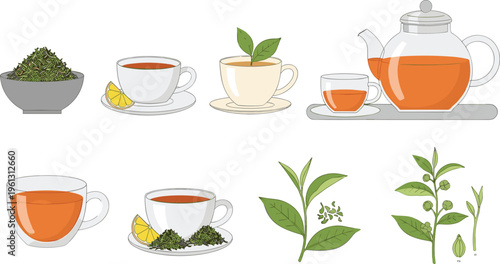 Large Collection of Stylized Tea and Botanical Infusion Vector Illustrations Featuring Glass Teapots Porcelain Cups Loose Leaf Tea and Matcha Preparation Tools