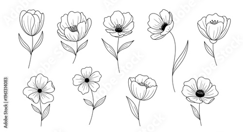Hand-drawn doodle outline elegant flowers collection on an isolated white background.