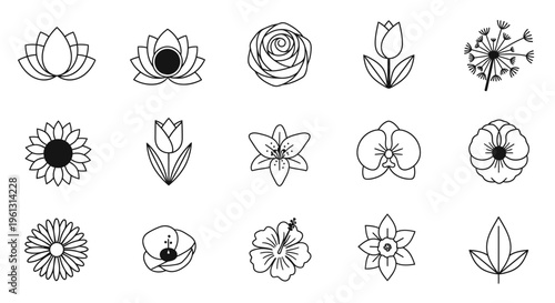 Hand-drawn doodle outline flowers and leaves collection on an isolated white background.