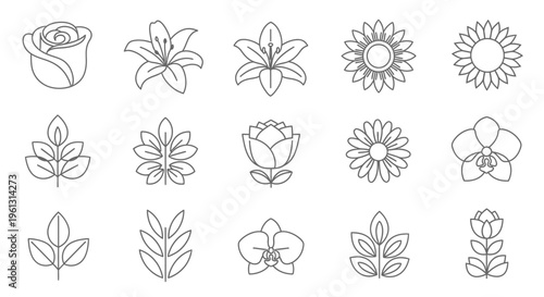 Hand-drawn doodle outline flowers and leaves collection on an isolated white background.