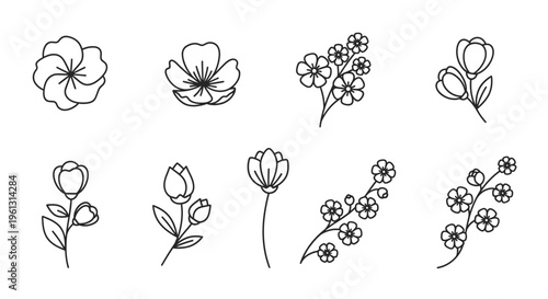 Set of Delicate Minimalist Outline Flower Icons on Isolated White Background