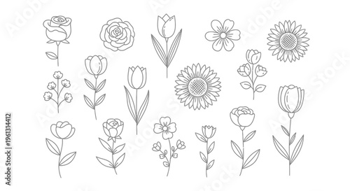 Large Collection of Diverse Outline Flower Illustrations on Isolated White Background