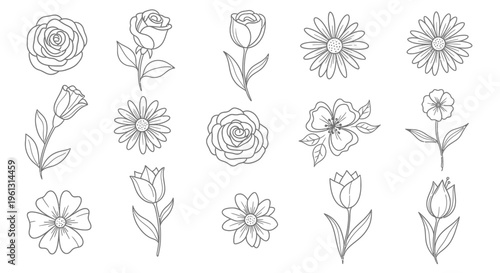 Diverse Outline Floral Element Set on Isolated White Background