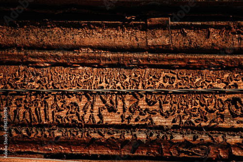 The image offers a close-up of a highly textured, rusty surface featuring intricate, almost script-like patterns. The horizontal lines and rough texture evoke associations with ancient wood, corrosion