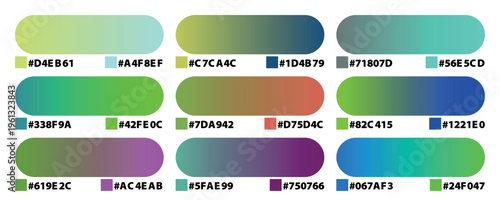 Modern color gradient palette set with hex codes, professional UI design swatches, vibrant vector color schemes for web and app development