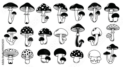 Assortment of stylized black and white mushroom illustrations shows a.
