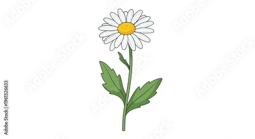 Daisy on a Stem: This close-up captures a pristine daisy in full bloom, showcasing the flower's delicate petals and vibrant yellow center against the natural green stem and leaves.