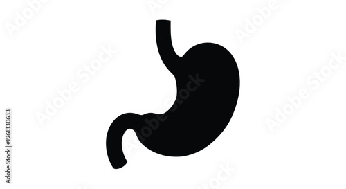Anatomical illustration of a human stomach in black silhouette