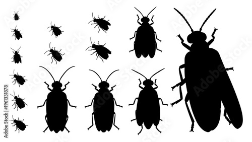 Comprehensive Set of Vectorized Insect Silhouettes Representing Common Bugs and Household Pests in Various Sizes