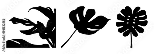 Monstera leaf silhouette set with elegant black line design featuring botanical, horticulture, plant art with plants and greens