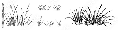 Grass set set with simple line art design featuring outline, illustration, graphic elements with clean design and vector art