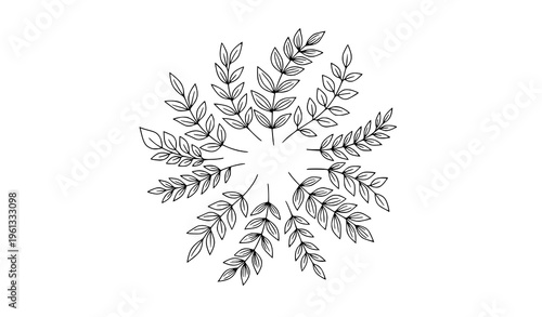 Minimal Monoline Botanical Leaf Outline Set Circular Floral Branch Vector Elements