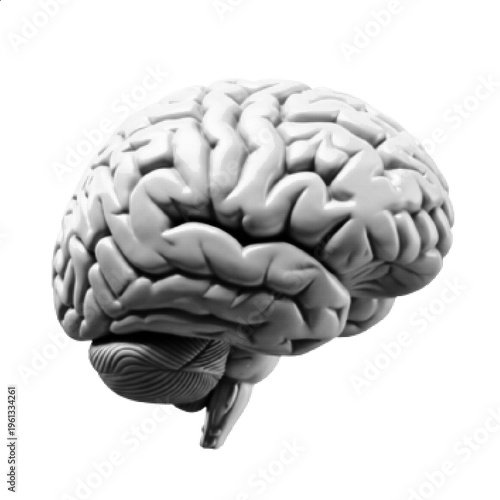 Halftone Human Brain Side View Black and White Anatomy Vector Illustration
