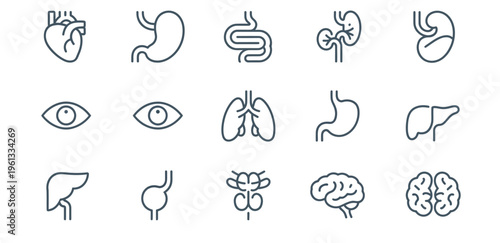 Detailed vector collection of human internal organs presented as clean line art icons, ideal for medical presentations, biological studies, and health and wellness applications, on a white background.