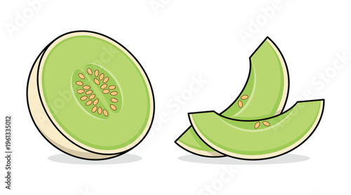 Delicious fresh honeydew melon illustration with a cut half fruit and two juicy slices, perfect for healthy food designs