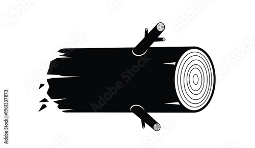 Silhouette of a tree stump with visible rings and branches