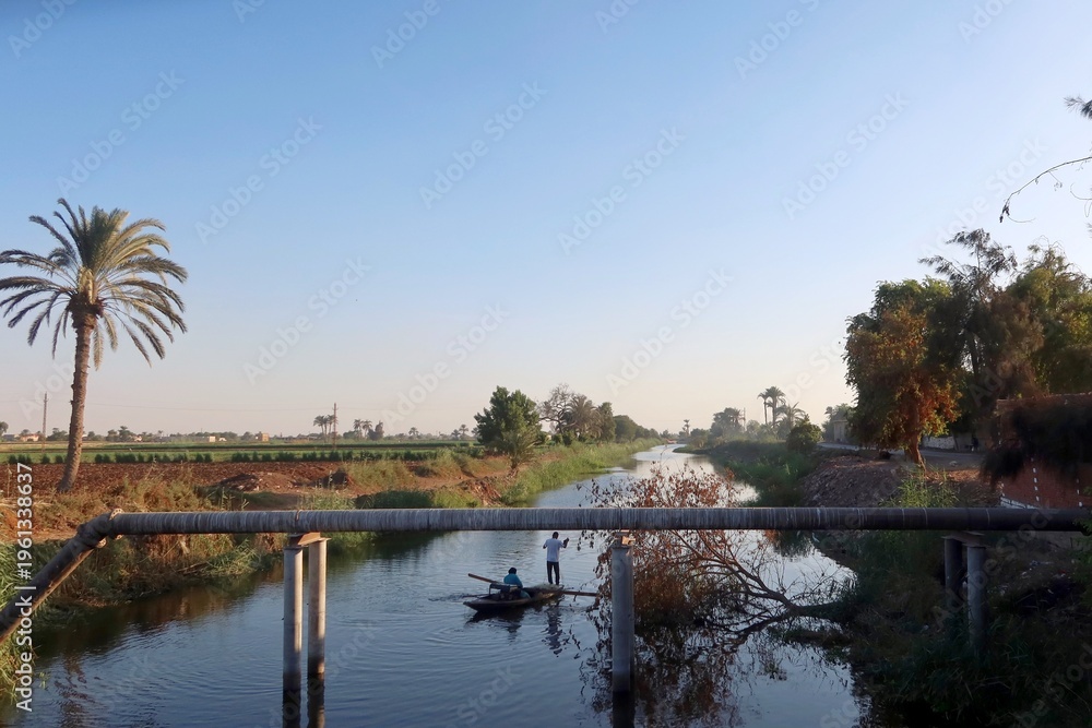 Fototapeta premium Beautiful water ponds amid greenery and agriculture in Bani Sweif in Egypt 