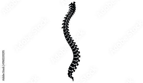 A silhouette image of a human spine against a white background showcasing its intricate structure and curvature