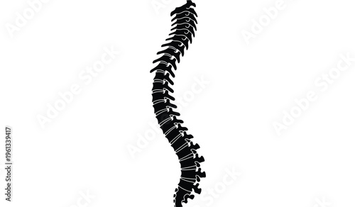 Silhouette of a tall curved plant or tree against a white background showcasing its unique shape and texture in a minimalist setting silhouette