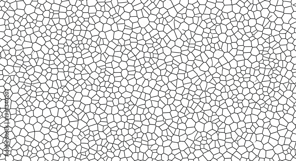 © @ahmedmaynul - Black and white abstract geometric pattern featuring an intricate organic voronoi cell network