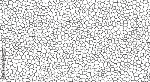 Black and white abstract geometric pattern featuring an intricate organic voronoi cell network