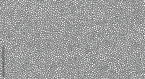 A dense pattern of irregular black and white organic cell structures repeating across the surface