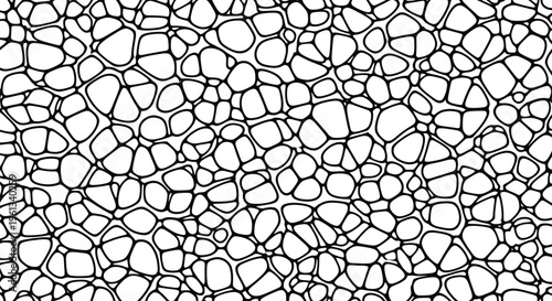 Black and white abstract pattern featuring organic cellular shapes forming a continuous mesh network