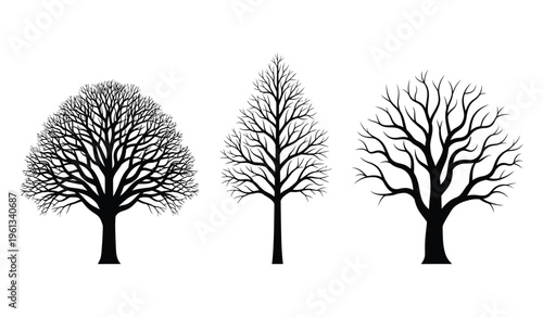 Three bare tree silhouettes against a white background featuring distinct branch patterns and shapes silhouette
