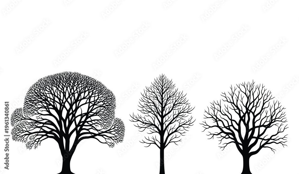 Fototapeta premium Three tree silhouettes with varying foliage density against a white background silhouette
