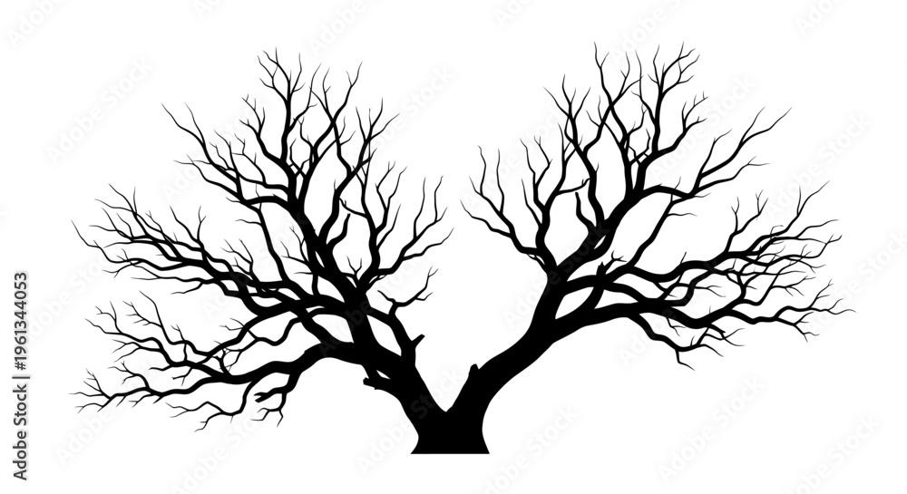 Fototapeta premium Bare tree branches reach out against a stark white background