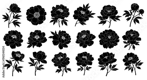 Collection of elegant black floral silhouettes featuring various peony blooms
