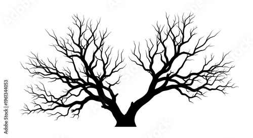 Bare tree branches reach out against a stark white background