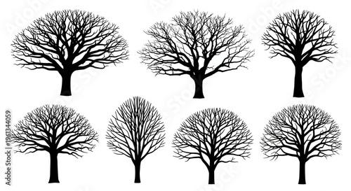 Collection of silhouetted trees with bare branches against a white backdrop