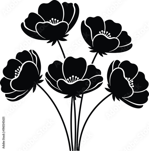 Black and white of five poppy flowers floral white background botanical