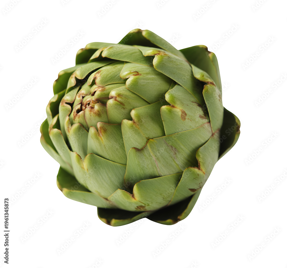 Obraz premium Artichoke with brown tips vegetable green fresh healthy isolated on a transparent background