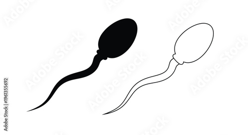 Sperm cell illustration with a contrasting outline a dark silhouette