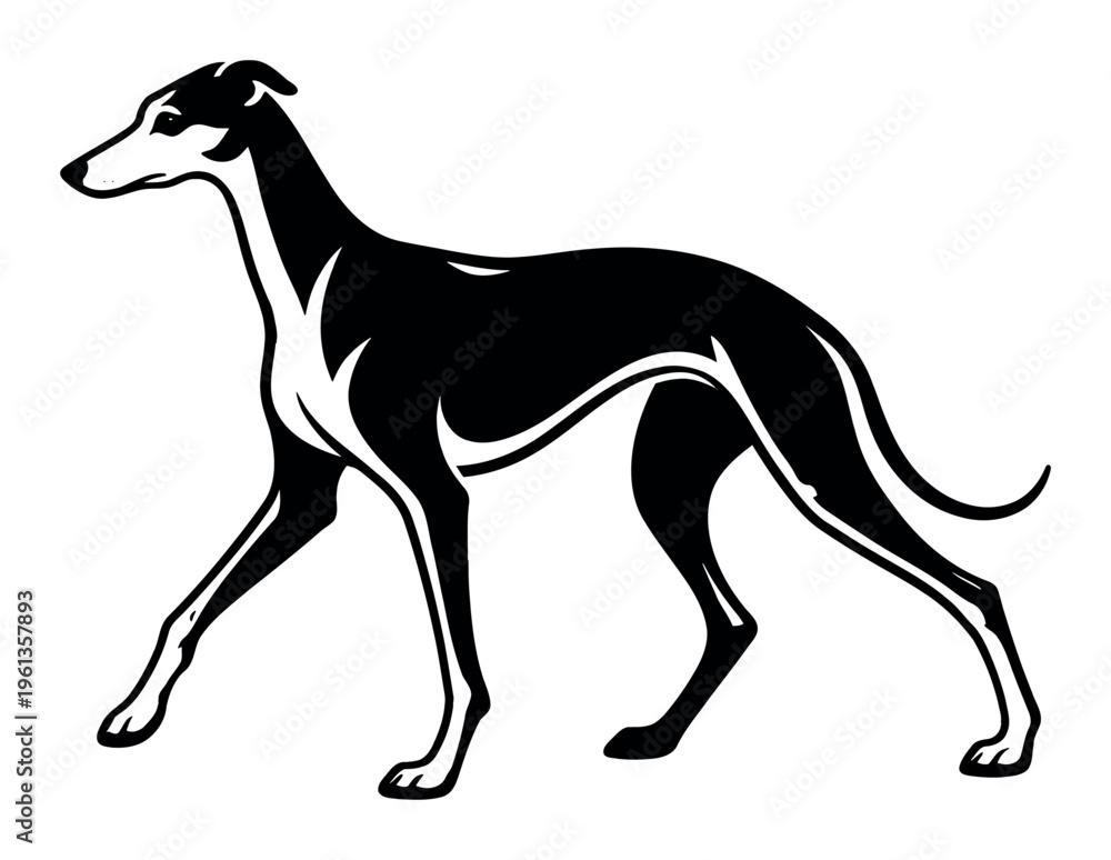 Fototapeta premium Greyhound dog exuding confidence, its black and white silhouette emphasized by bold lines that symbolize swiftness, grace, and devotion