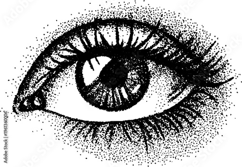 Closeup stippled human eye study in black and white with detailed lashes for anatomical design and poster
