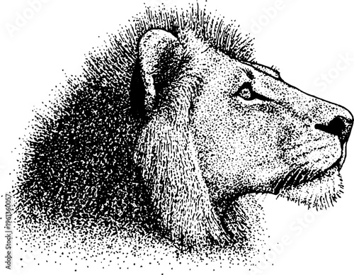Stippled black and white lion head profile in detailed ink for tattoo design poster background and wildlife art
