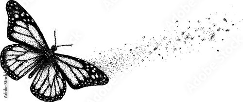 Black and white stippled butterfly dissolving into particles for background poster and design with dotted texture and organic motion