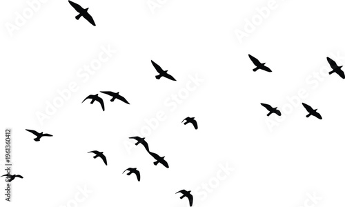A flock of birds flying in formation against a white sky