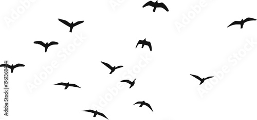 A flock of birds in flight on a white background