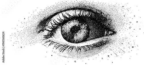 Detailed stippled closeup eye with textured iris and eyelashes in black and white for poster and background design