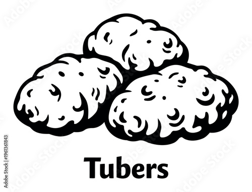 Potatoes tubers showing a hand-drawn illustration style, perfect for food concepts, healthy eating, and farming designs