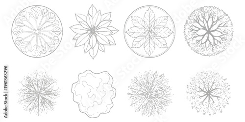 A collection of architectural top down tree symbols for landscape design and site planning projects Vector, illustration